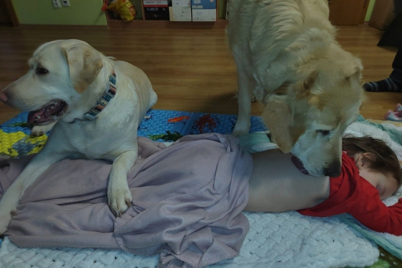 Canisterapia pre detských onkologických pacientov